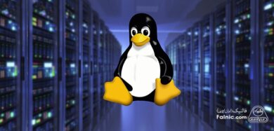 سرور لینوکس
