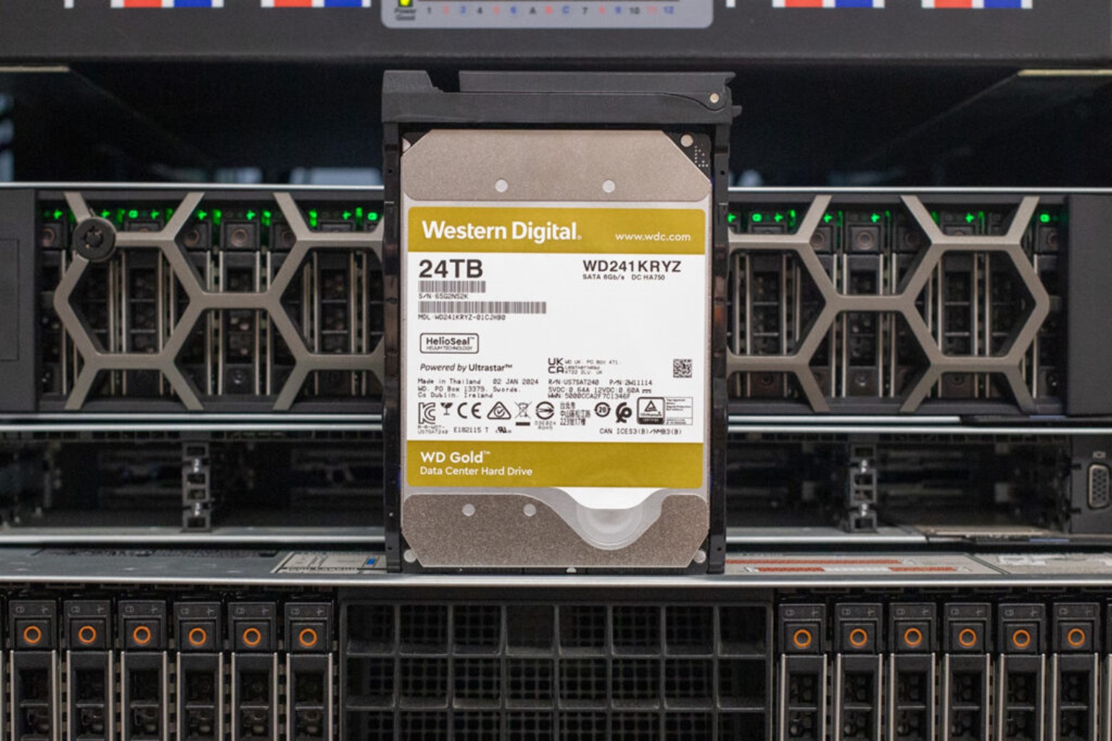 هارد دیسک WD Gold 24TB