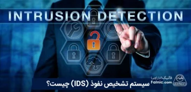 IDS چیست؟