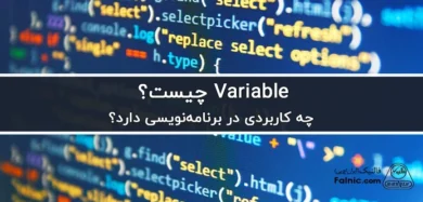 Variable چیست