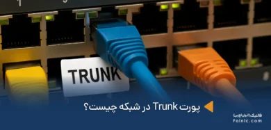 پورت trunk چیست