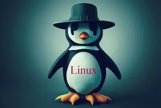 راه اندازی سرویس های لینوکس در فالنیک (ایران اچ پی)